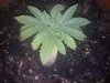 20110224004429.jpg 20110224004429.jpg