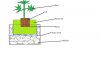 Plant.jpg