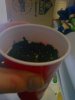0523082042-02.jpg