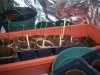 100_0228.jpg