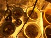 100_0239.jpg