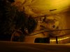 New Nutes For Flowering 006.jpg