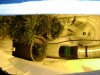 New Nutes For Flowering 003.jpg