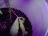 DSCF1082.jpg DSCF1082.jpg