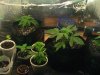PIC_4054.jpg