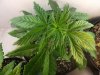 420 012.jpg