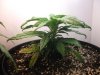 420 015.jpg