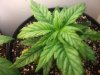 420 016.jpg
