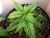 420 017.jpg