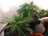 420 010.jpg