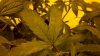 2011-02-26_11-04-21_873.jpg 2011-02-26_11-04-21_873.jpg
