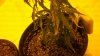 2011-02-26_11-08-37_415.jpg 2011-02-26_11-08-37_415.jpg