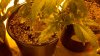 2011-02-26_11-06-45_788.jpg 2011-02-26_11-06-45_788.jpg