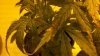 2011-02-26_11-06-10_484.jpg 2011-02-26_11-06-10_484.jpg