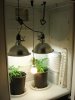 DSC00343.jpg