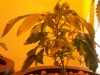 100_2589.jpg