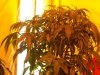 100_2591.jpg