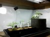 IMG_20110227_022633.jpg