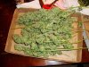 Cannabis1.jpg Cannabis1.jpg
