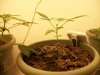 100_3851.jpg