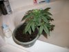 100_3859.jpg