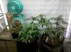 IMG_20110302_221236.jpg