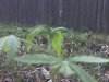03-03-11_1723.jpg 03-03-11_1723.jpg