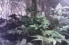 IMAG0519.jpg
