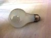 bulb.jpg