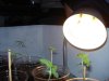 DSC01830.jpg