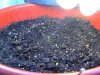 DSC01642.jpg