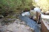 waterfish3.jpg