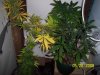 100_5868.jpg
