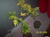 100_5873.jpg