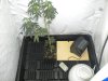 DSCN2423.jpg DSCN2423.jpg