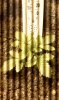IMAG0187.jpg