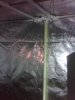 2011-03-06 13.09.41.jpg