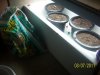 100_9475.jpg