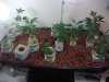 2011-02-17 21.15.41.jpg