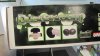 garden supplies 005.jpg garden supplies 005.jpg
