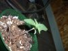 DSCF1186.jpg
