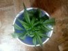 20110310000654.jpg