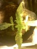 20110309220024.jpg 20110309220024.jpg