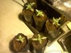 20110309215942.jpg 20110309215942.jpg