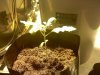 20110309215919.jpg 20110309215919.jpg