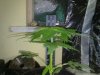 07032011071.jpg