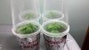 2011-03-09_12-59-33_178.jpg
