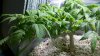 2011-03-10_18-28-53_757.jpg