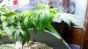 2011-03-10_18-28-49_131.jpg