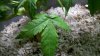 2011-03-10_18-32-00_719.jpg